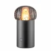 Blomus Bordlamper>Iris Mobile LED Lamp Gun Metal