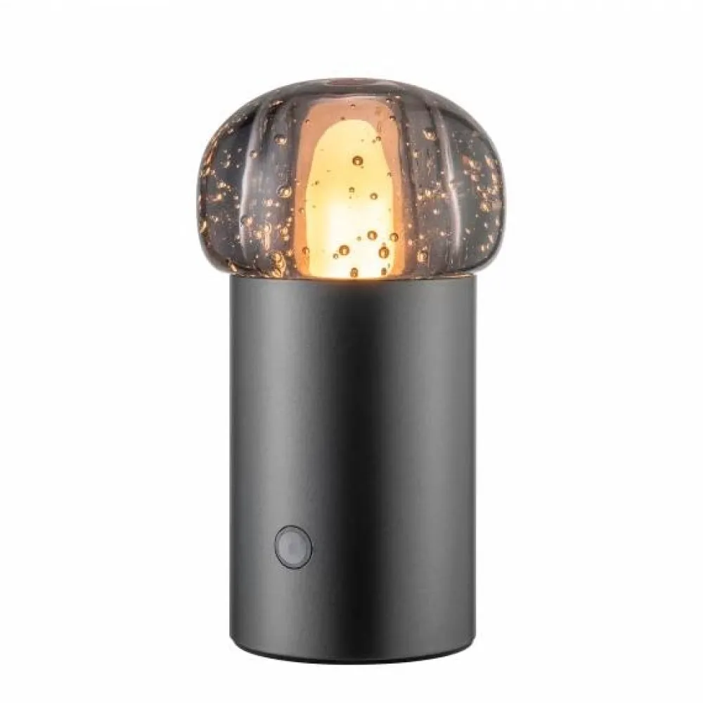 Blomus Bordlamper>Iris Mobile LED Lamp Gun Metal
