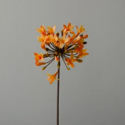 Botané Studios Kunstige Blomster>Agapanthus Flower Orange