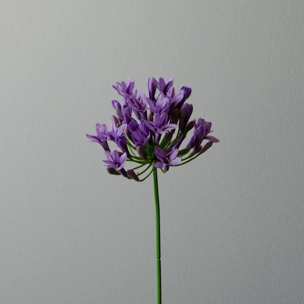 Botané Studios Kunstige Blomster>Agapanthus Flower Purple