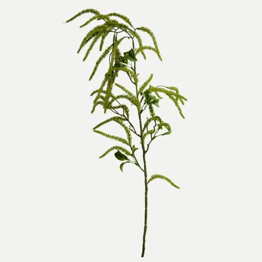 Botané Studios Kunstige Blomster>Amaranthus Cruentus Flower Green