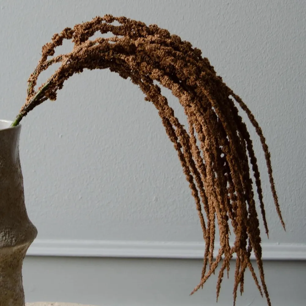 Botané Studios Kunstige Blomster>Amaranthus Caudatus 'Dreadlocks' Flower Light Brown