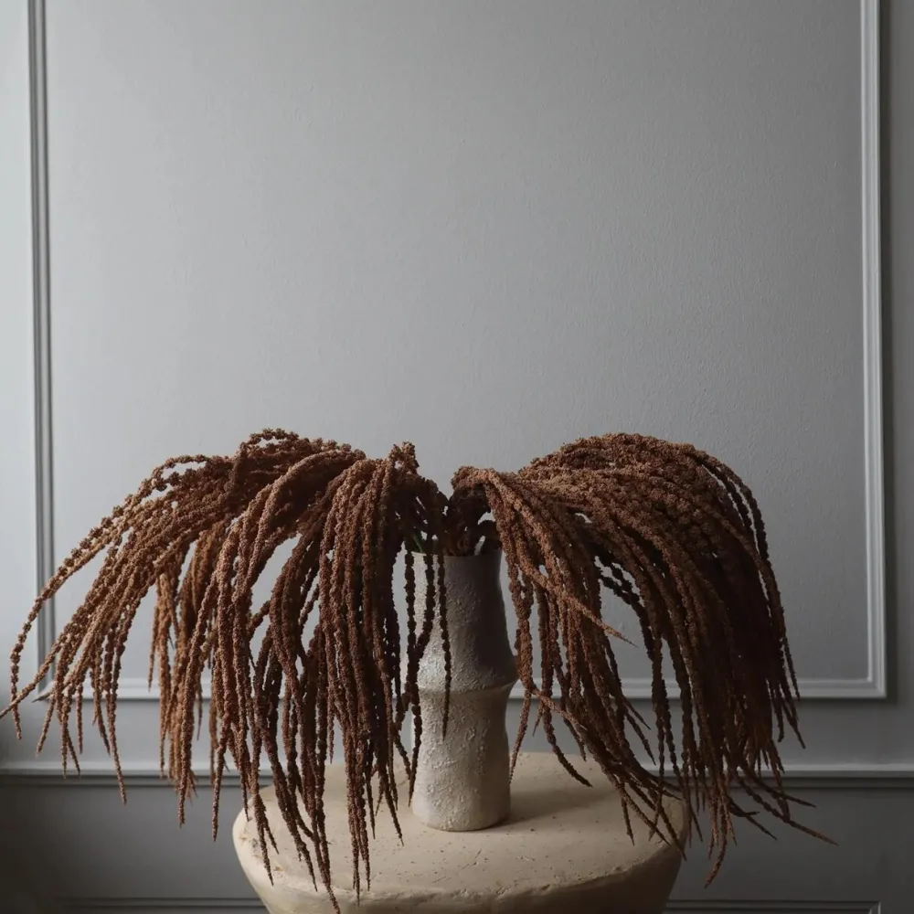 Botané Studios Kunstige Blomster>Amaranthus Caudatus 'Dreadlocks' Flower Light Brown
