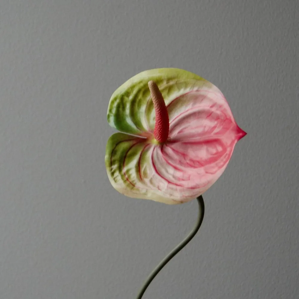 Botané Studios Kunstige Blomster>Anthurium Flower Pink