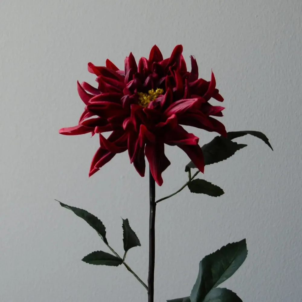 Botané Studios Kunstige Blomster>Cactus Dahlia Flower Red