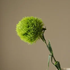 Botané Studios Kunstige Blomster>Dianthus Barbatus "Green Ball" Flower Green