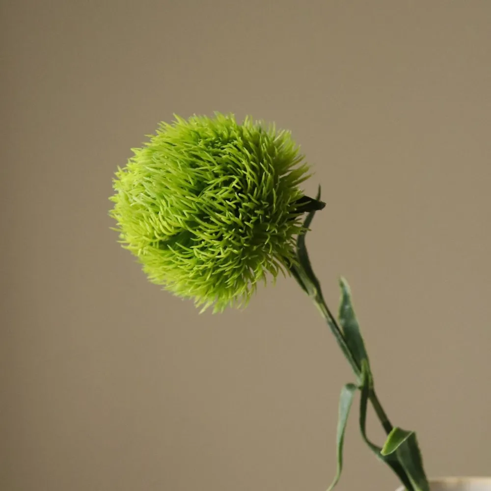 Botané Studios Kunstige Blomster>Dianthus Barbatus "Green Ball" Flower Green