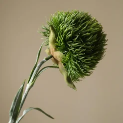 Botané Studios Kunstige Blomster>Dianthus Barbatus "Green Ball" Dark Green