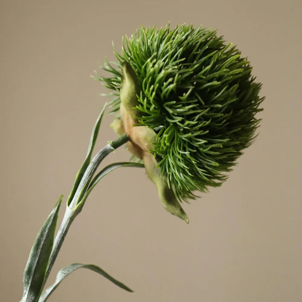 Botané Studios Kunstige Blomster>Dianthus Barbatus "Green Ball" Dark Green