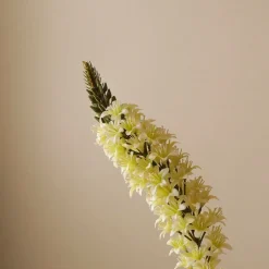 Botané Studios Kunstige Blomster>Eremurus Large Foxtail Lily Flower White
