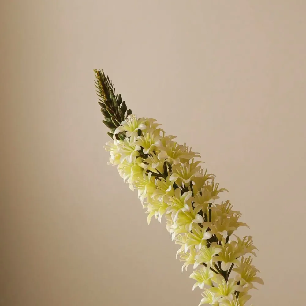 Botané Studios Kunstige Blomster>Eremurus Large Foxtail Lily Flower White