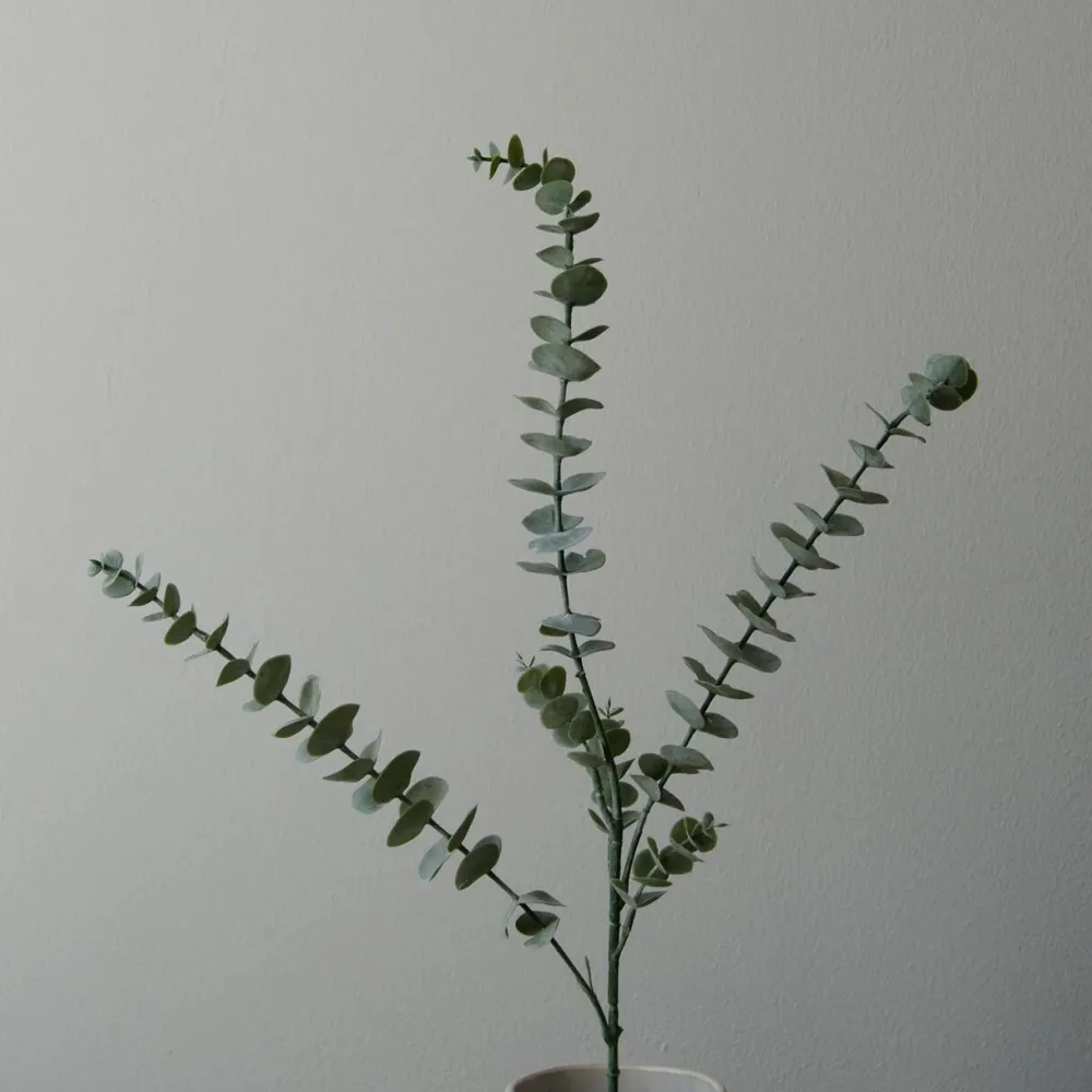 Botané Studios Kunstige Blomster>Eucalyptus Five Leave Green