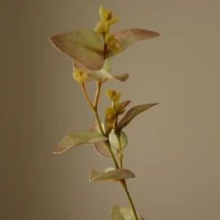 Botané Studios Kunstige Blomster>Eucalyptus Leave White