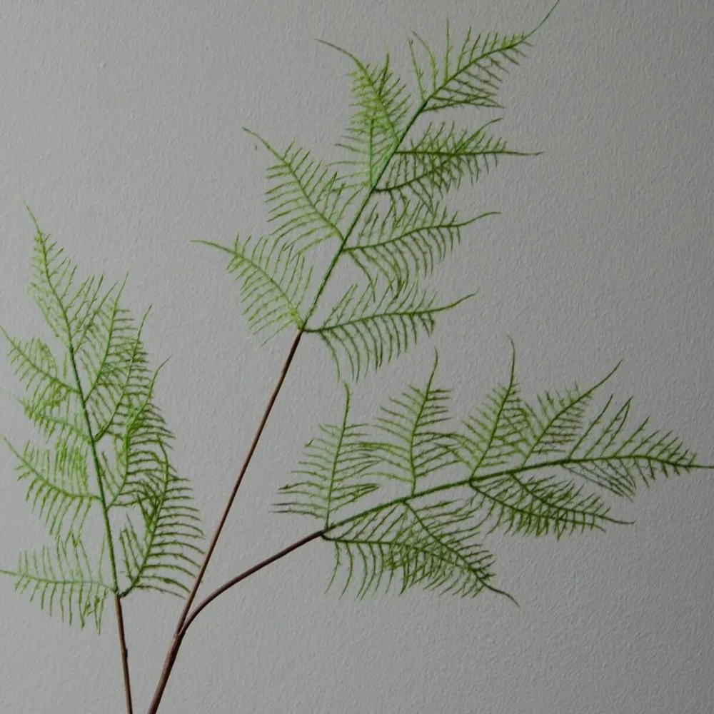 Botané Studios Kunstige Blomster>Fern Leave Green