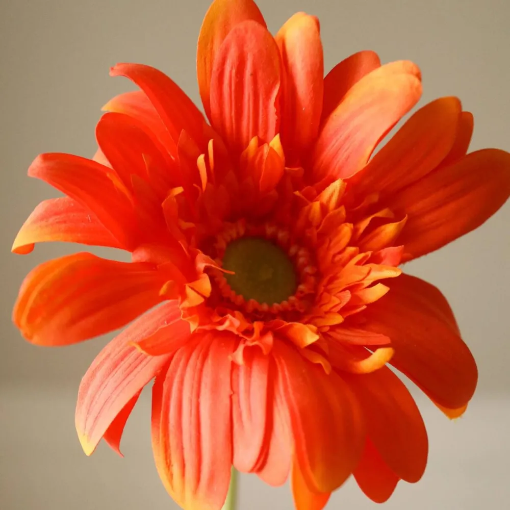 Botané Studios Kunstige Blomster>Gerbera Daisy Flower Orange