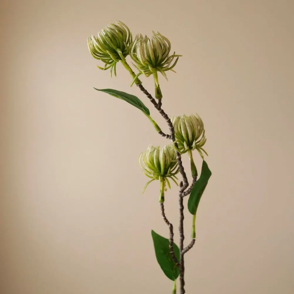 Botané Studios Kunstige Blomster>Hamamelis Branch Green