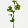 Botané Studios Kunstige Blomster>Hellebores Flower Green