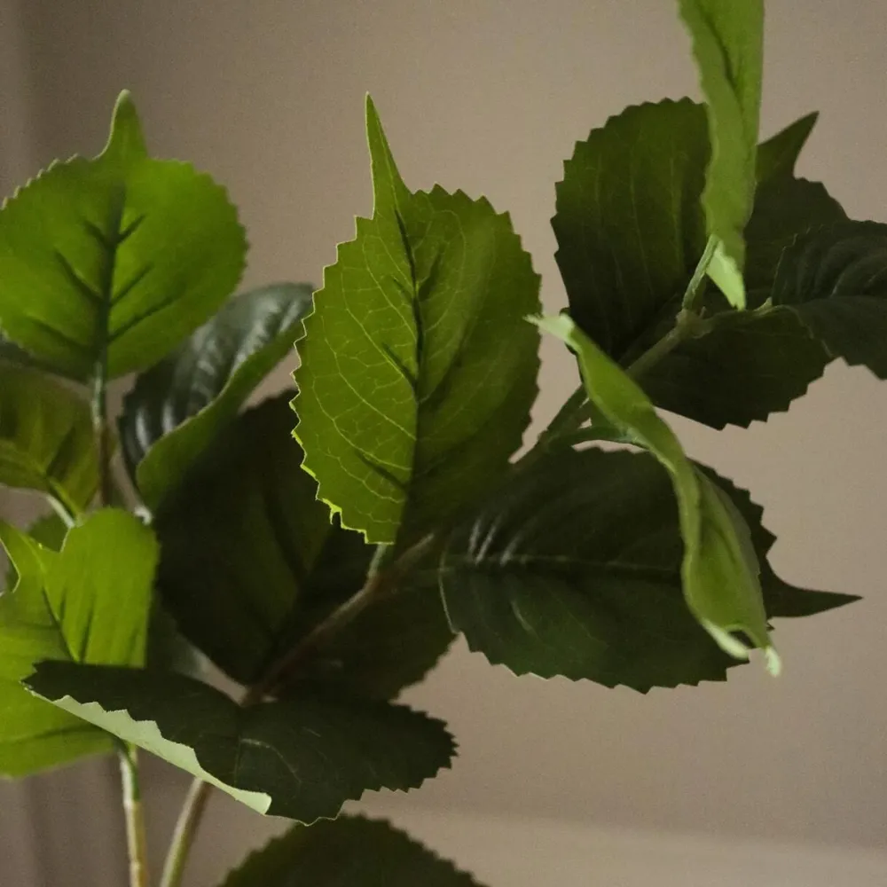 Botané Studios Kunstige Blomster>Hydrangea Leaves Green