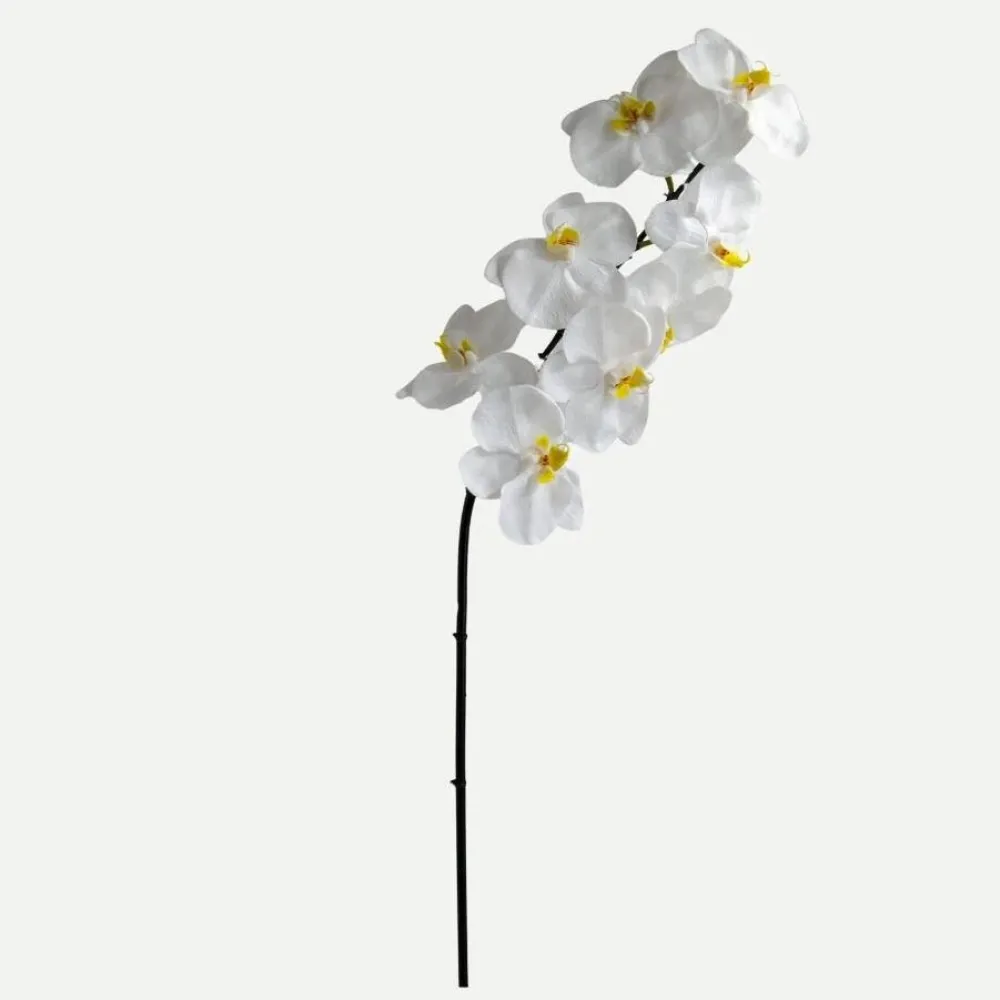 Botané Studios Kunstige Blomster>Large Orchid Flower White