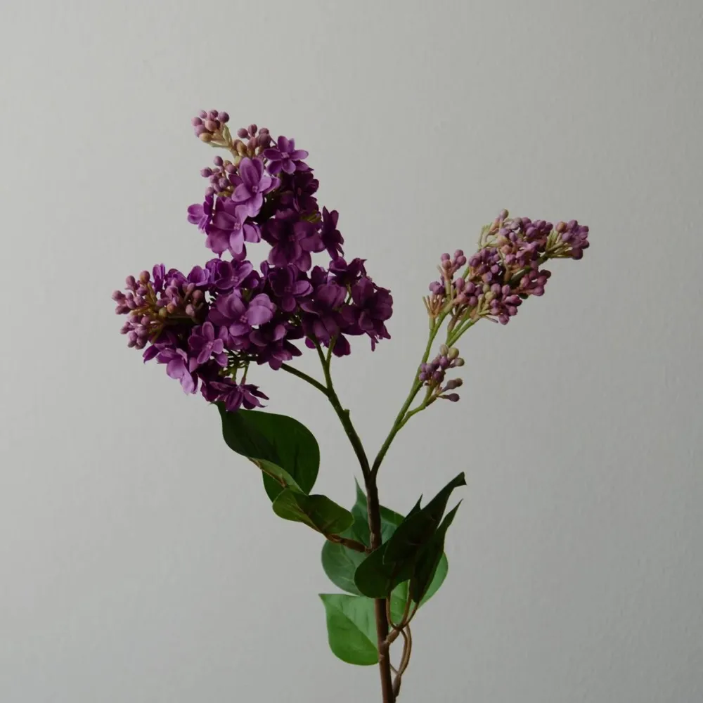 Botané Studios Kunstige Blomster>Lilac Flower Purple