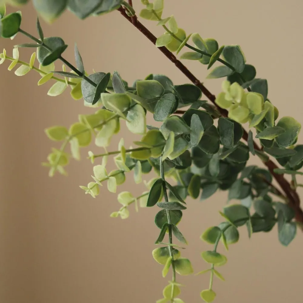 Botané Studios Kunstige Blomster>Parvifolia 'Gunni' Eucalyptus Leave Green