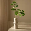 Botané Studios Kunstige Blomster>Plum Aralia Leave Green
