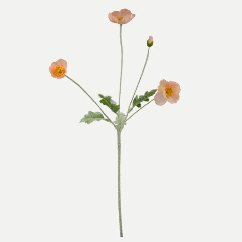 Botané Studios Kunstige Blomster>Poppy Flower Coral