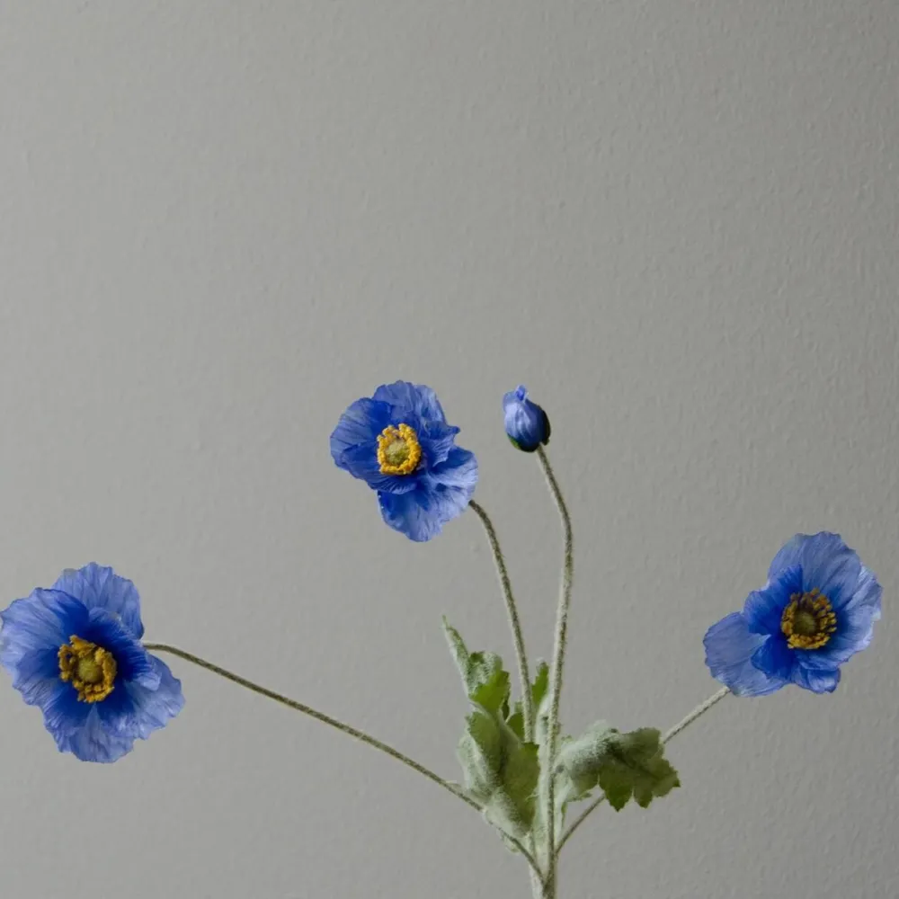 Botané Studios Kunstige Blomster>Poppy Flower Blue