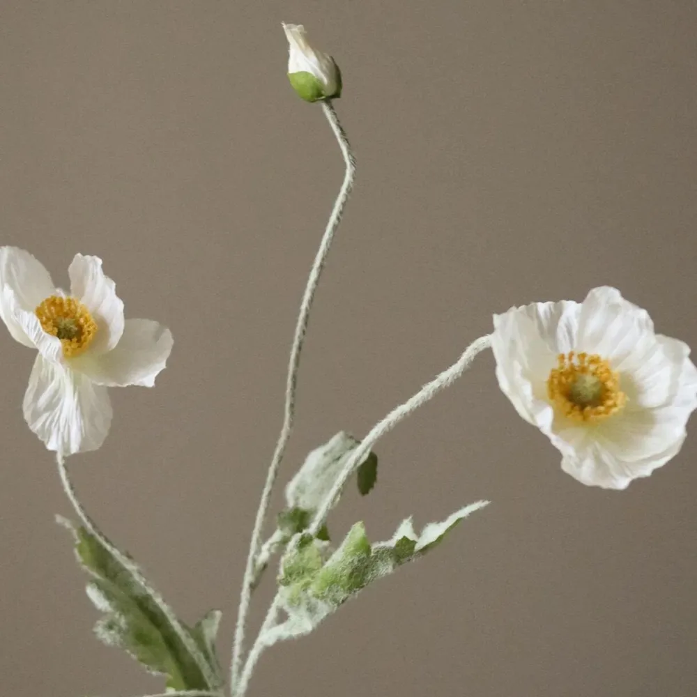 Botané Studios Kunstige Blomster>Poppy Flower White