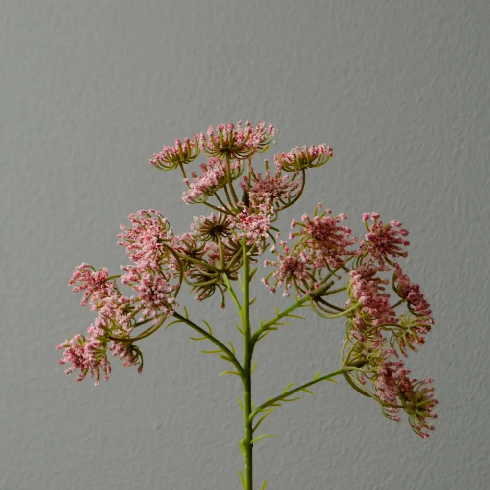 Botané Studios Kunstige Blomster>Queen Anne's Lace Flower Pink