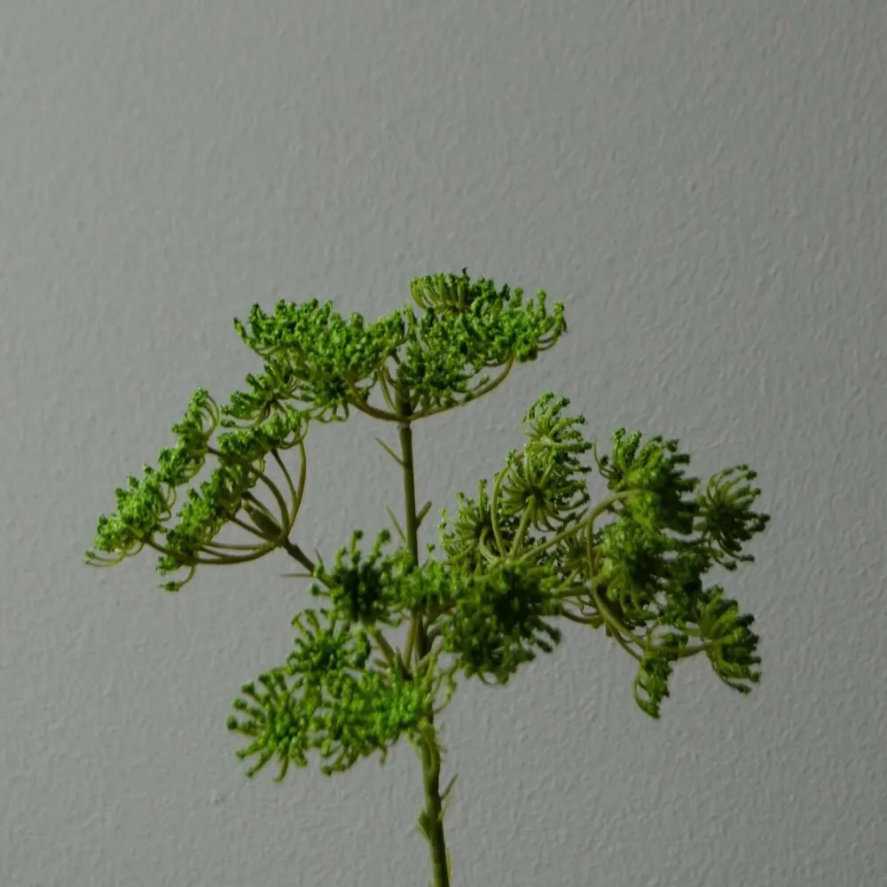 Botané Studios Kunstige Blomster>Queen Anne's Lace Flower Green