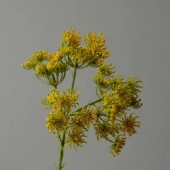 Botané Studios Kunstige Blomster>Queen Anne's Lace Flower Yellow