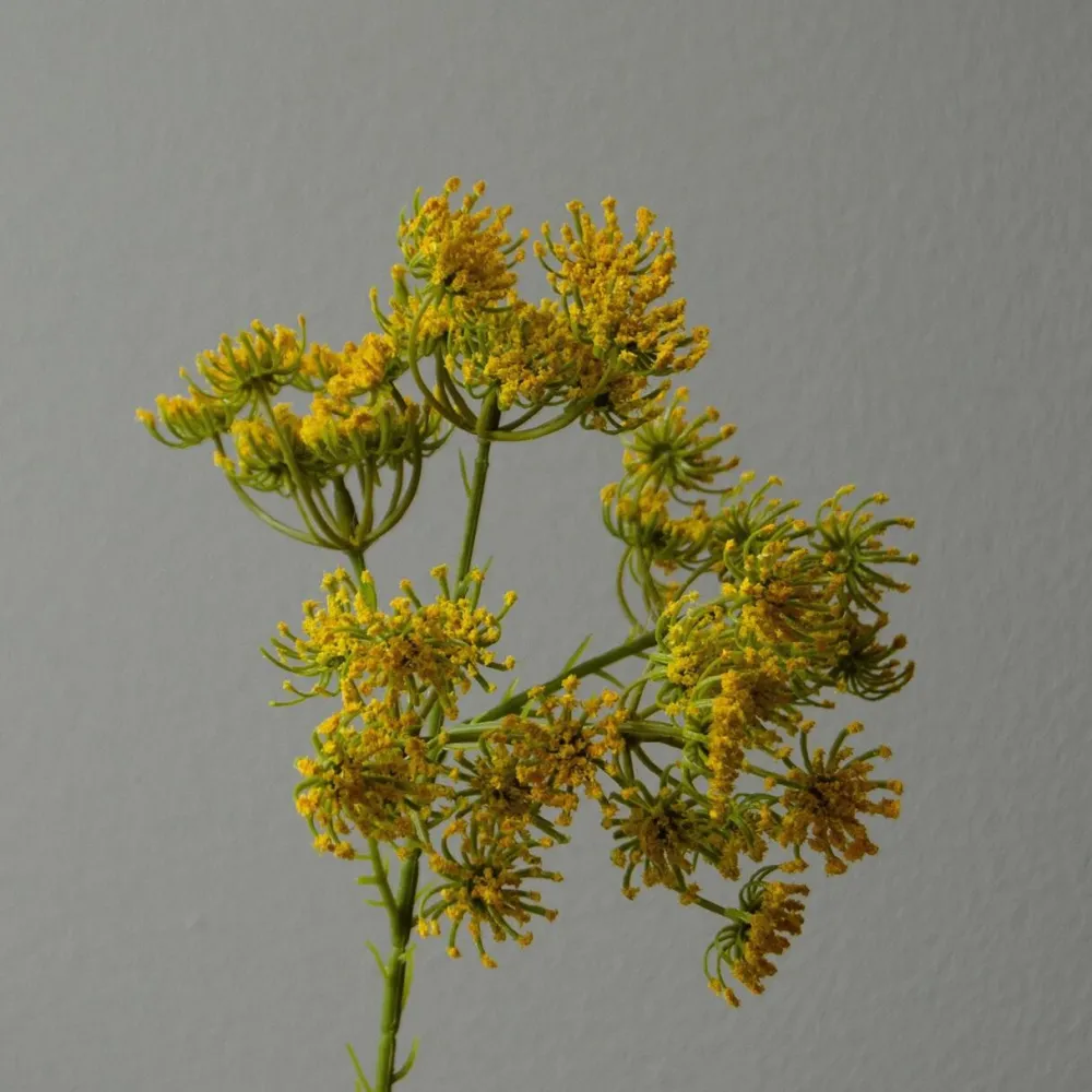 Botané Studios Kunstige Blomster>Queen Anne's Lace Flower Yellow