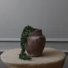 Botané Studios Kunstige Blomster>Ruby Necklace Succulent Stem Green