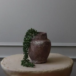 Botané Studios Kunstige Blomster>Ruby Necklace Succulent Stem Green