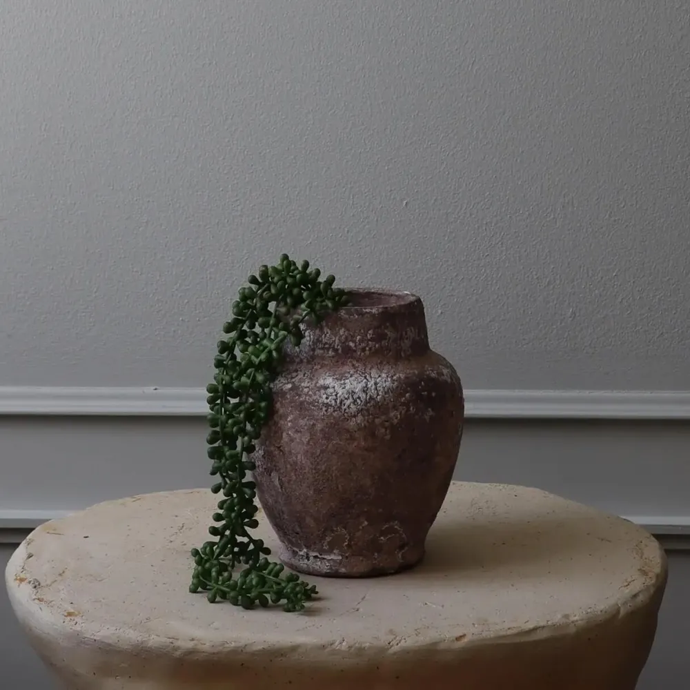 Botané Studios Kunstige Blomster>Ruby Necklace Succulent Stem Green