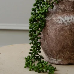 Botané Studios Kunstige Blomster>Ruby Necklace Succulent Stem Green