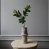 Botané Studios Kunstige Blomster>Ruscus Leave Green