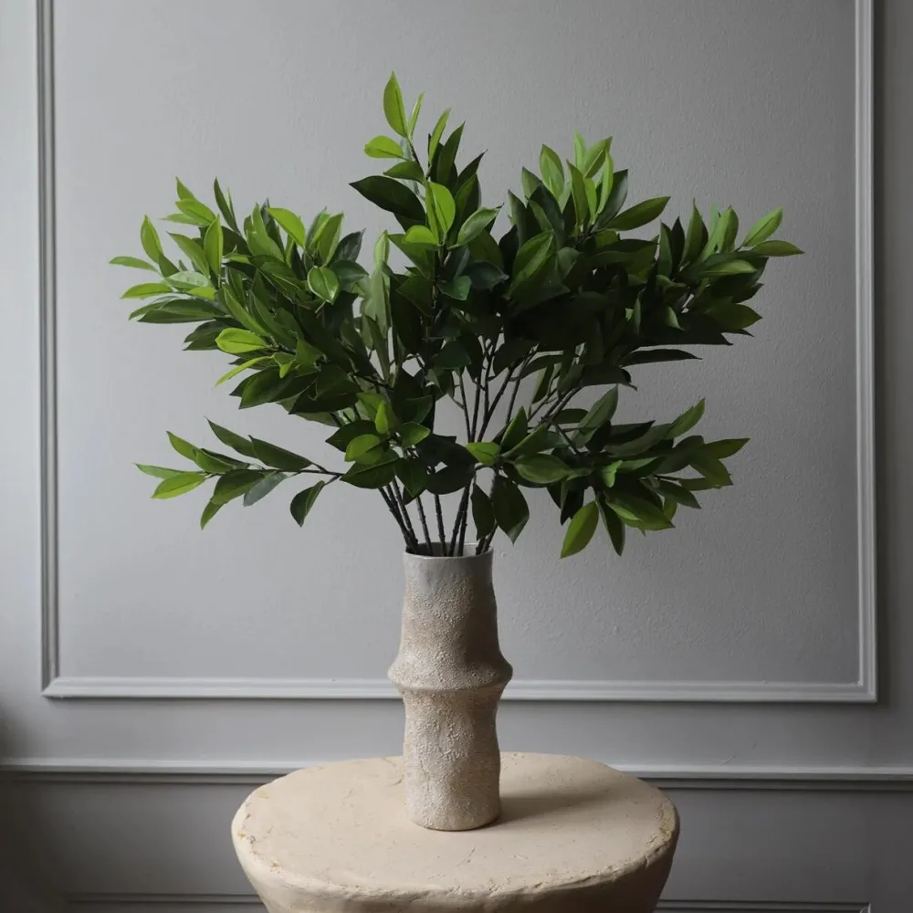 Botané Studios Kunstige Blomster>Ruscus Leave Green