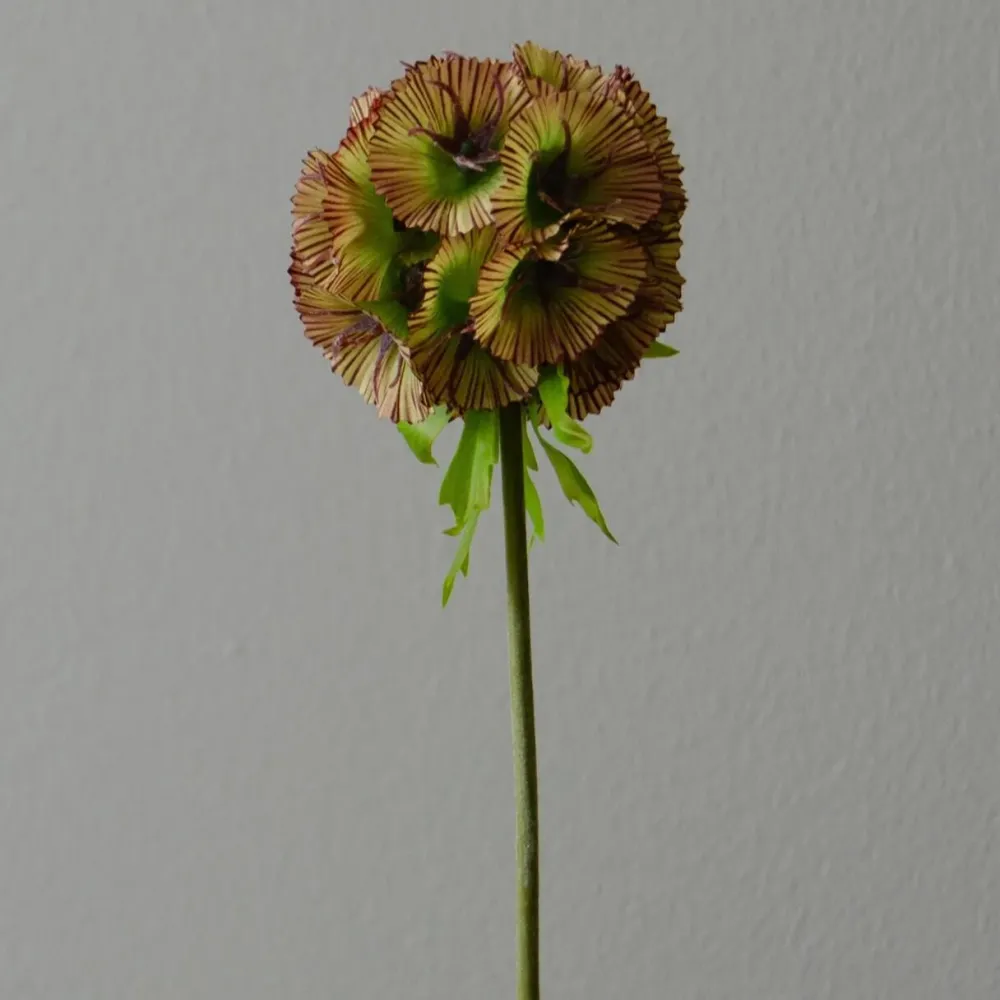 Botané Studios Kunstige Blomster>Scabiosa Seed Pod Flower Purple