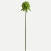 Botané Studios Kunstige Blomster>Scabiosa Seed Pod Flower Light Green