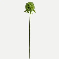 Botané Studios Kunstige Blomster>Scabiosa Seed Pod Flower Light Green