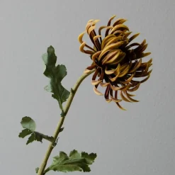 Botané Studios Kunstige Blomster><noscript><img width=