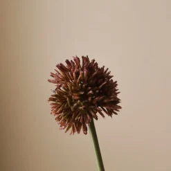 Botané Studios Kunstige Blomster>Small Allium Flower Purple