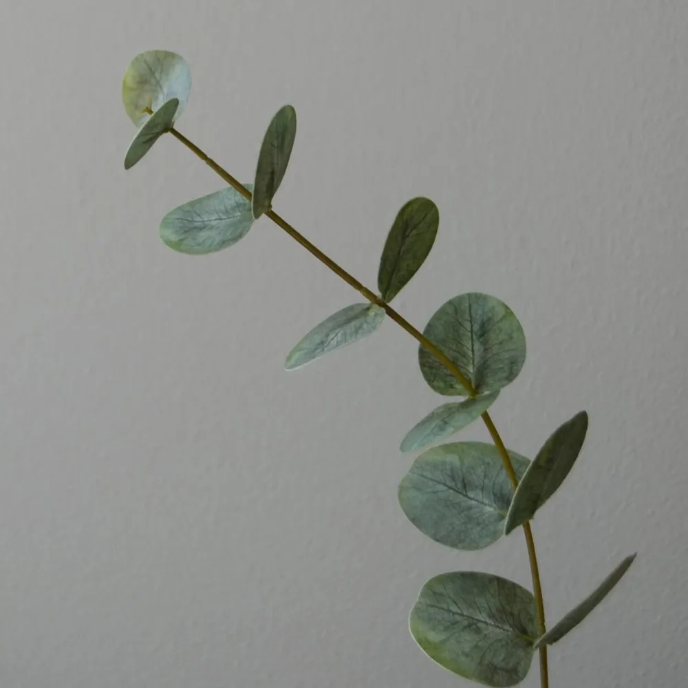 Botané Studios Kunstige Blomster>Small Eucalyptus Leave Green
