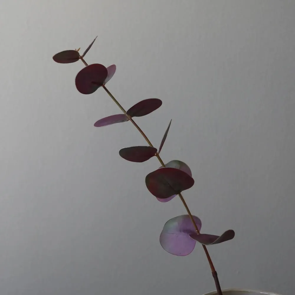 Botané Studios Kunstige Blomster>Small Eucalyptus Leave Purple