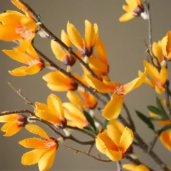 Botané Studios Kunstige Blomster><noscript><img width=