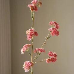 Botané Studios Kunstige Blomster>Succulent Stem Pink