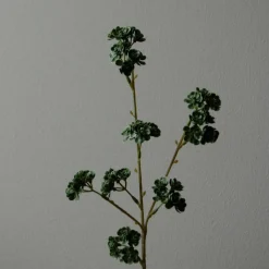 Botané Studios Kunstige Blomster>Succulent Stem Green
