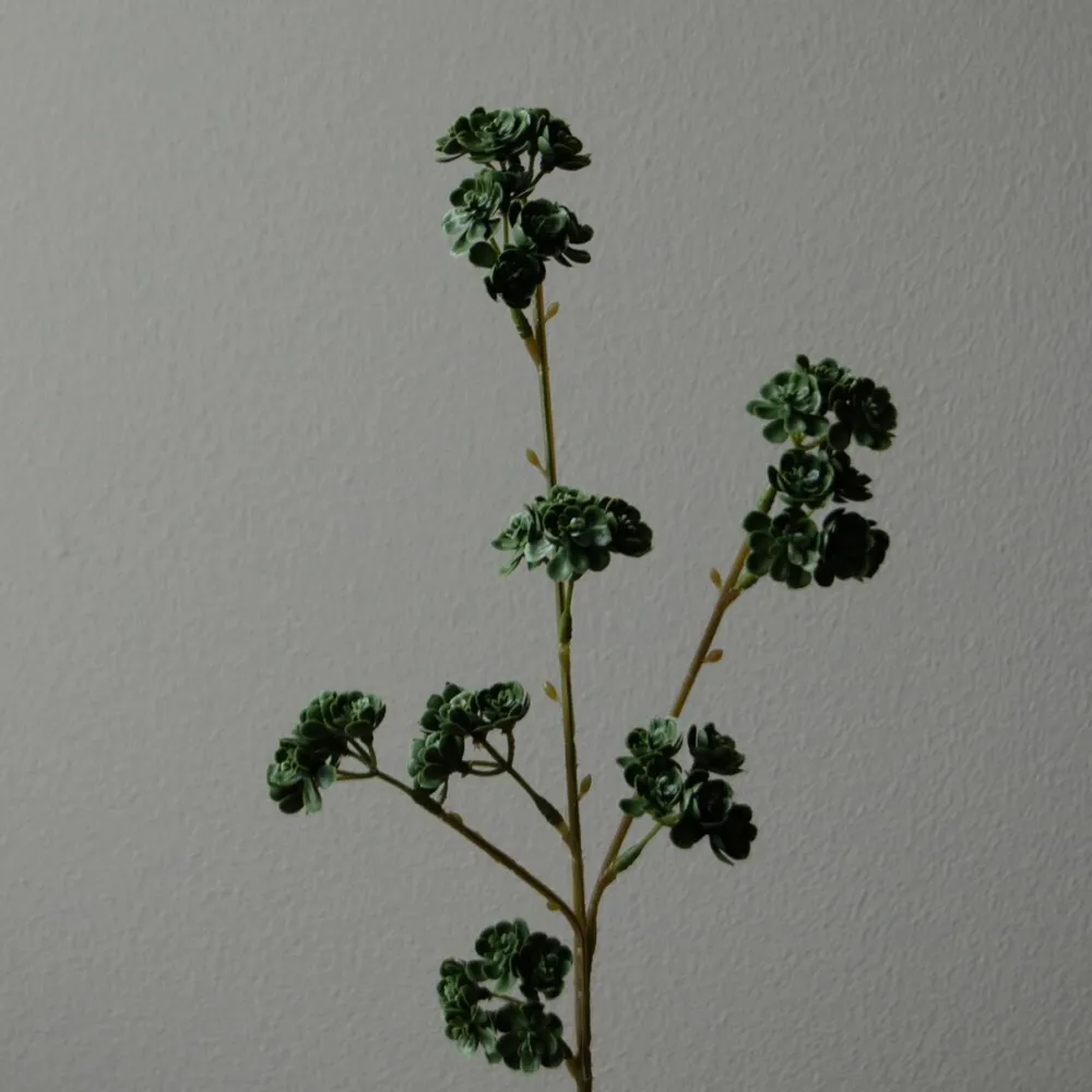 Botané Studios Kunstige Blomster>Succulent Stem Green
